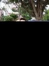 15建工3班—招宗力